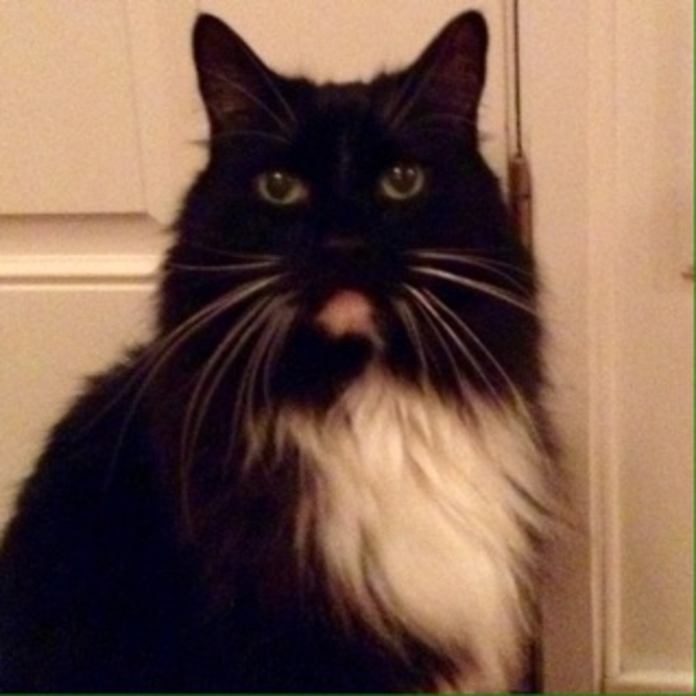 Meet your Posher, Robbe